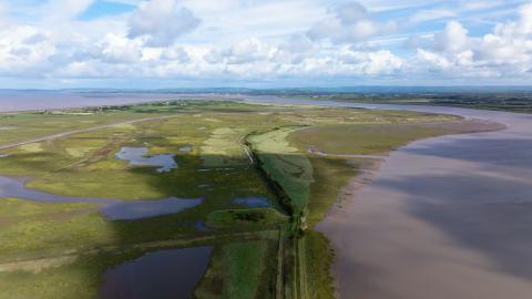 Somerset saltmarsh