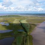 Somerset saltmarsh